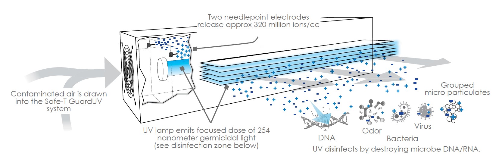 Air Flow and Ion Release System